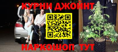 стаф Кингисепп