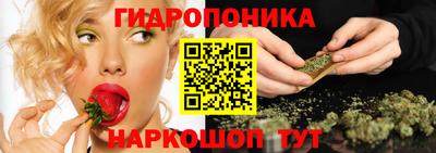 стаф Кингисепп