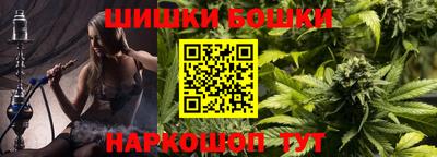 стаф Кингисепп