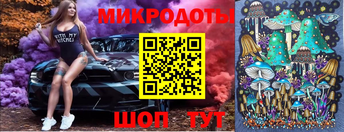 Куйбышев  Псилоцибиновые грибы мухоморы  Вход с VPN 